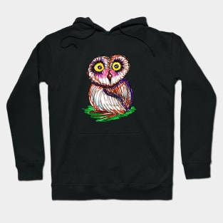 owl Hoodie